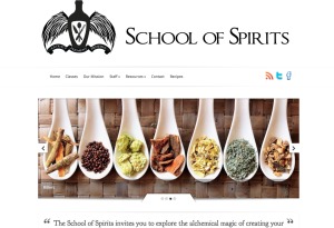 Screenshot of School of Spirits website